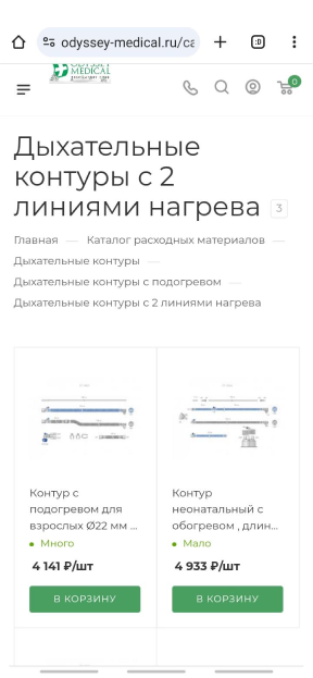 С какими ошибками пришел сайт на продвижение?