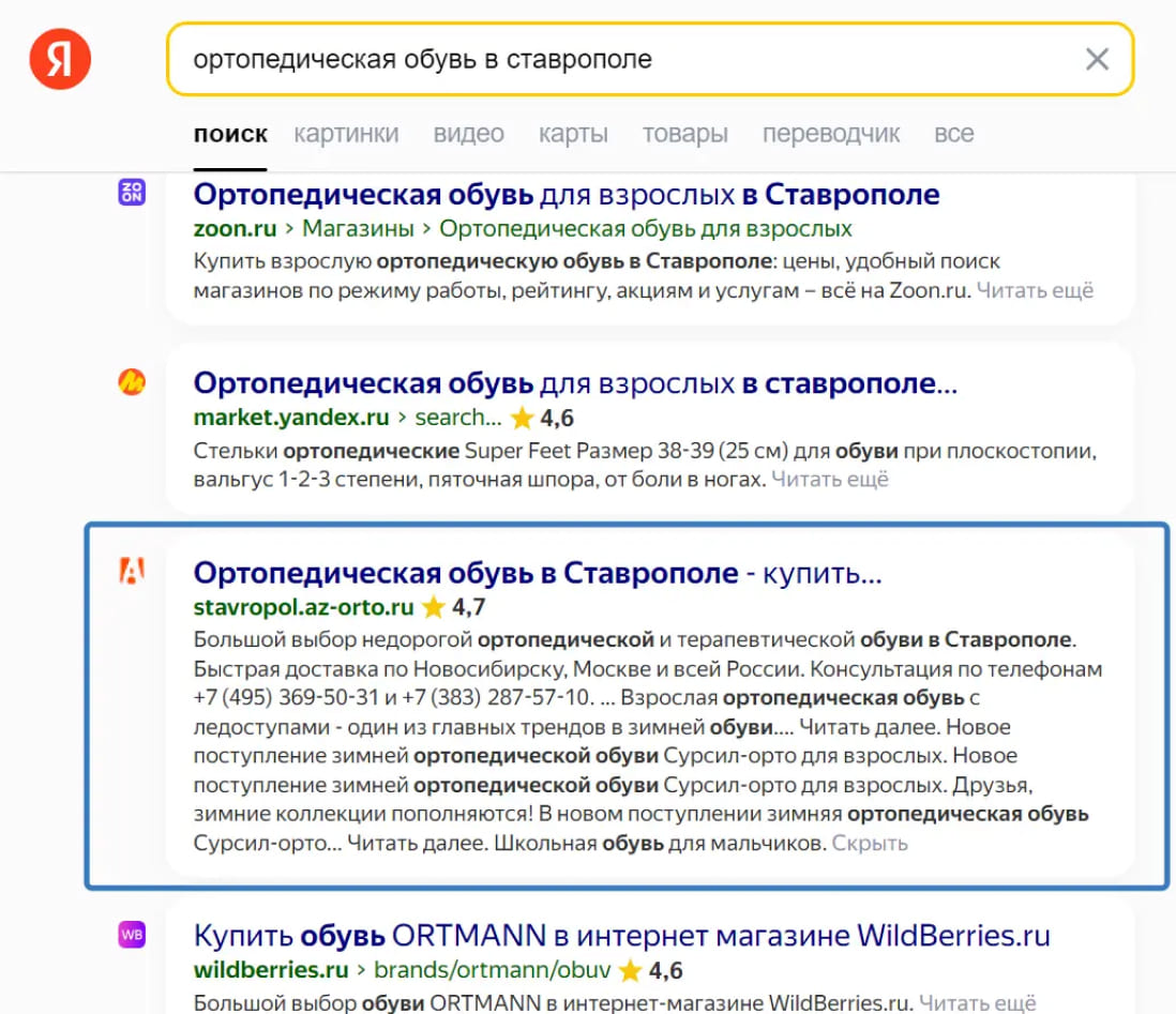 Результаты в поисковой системе рис 1