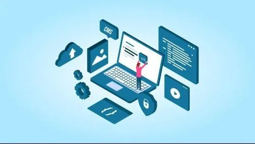 Выбор CMS для сайта и почему от движка зависит успех SEO