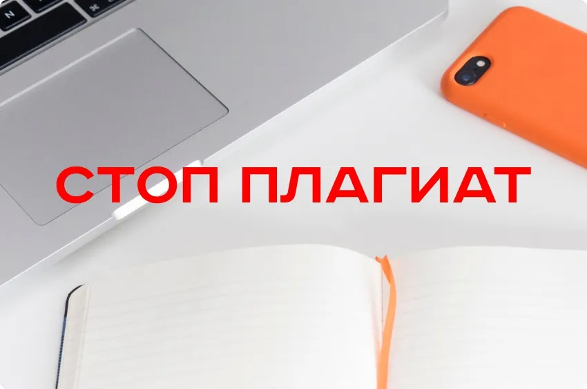 фильтр Google «Панда» 