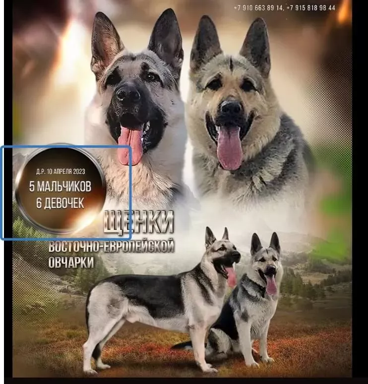 Добавьте срочности, если хотите получить отдачу от рекламы быстрее 