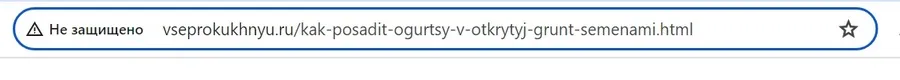 Что такое SSL и HTTPS