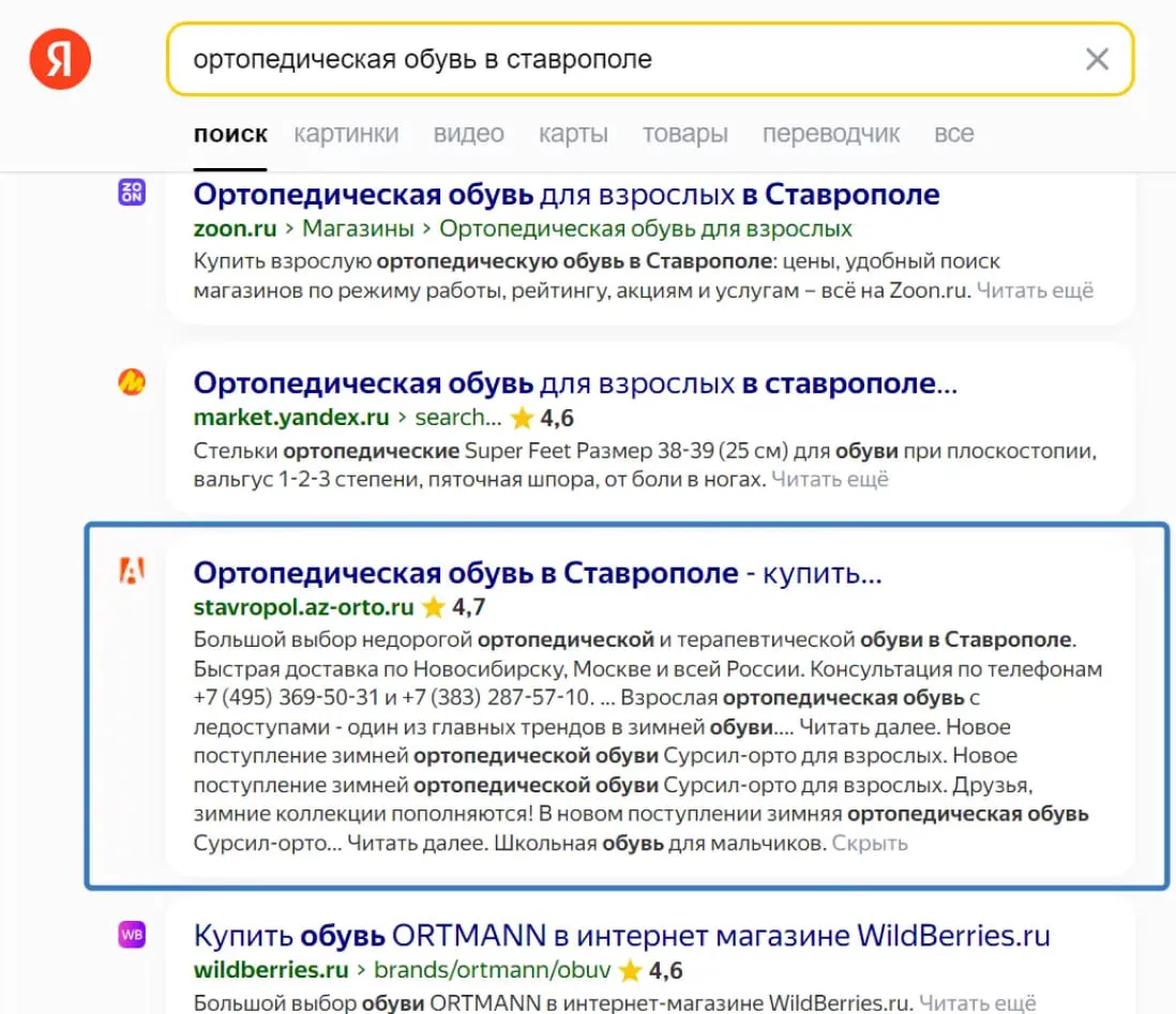 Результаты в поисковой системе рис 1