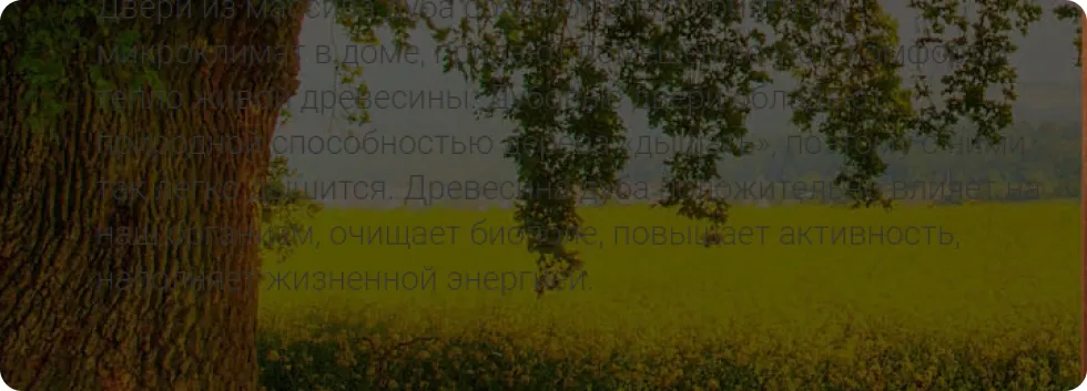 Так отображался шрифт на некоторых страницах