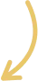 Vector
