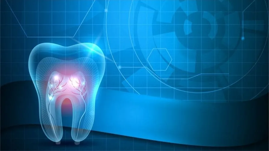 SEO для стоматологии – как продвигать зубную клинику в поиске